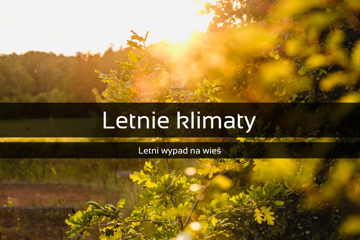 Letnie klimaty