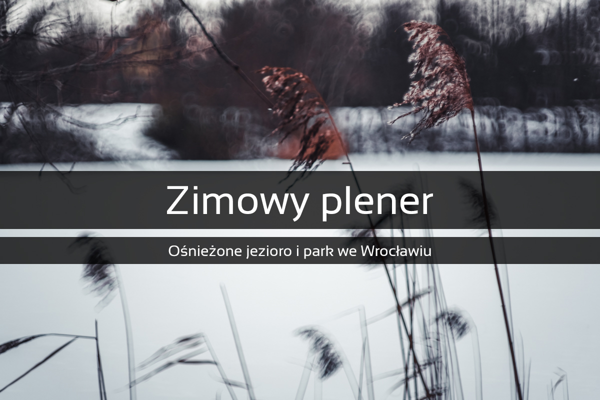 Zimowy plener